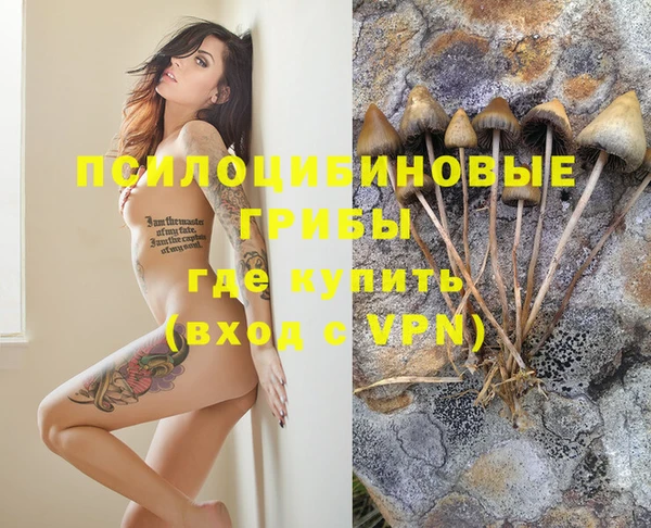 крисы Аркадак