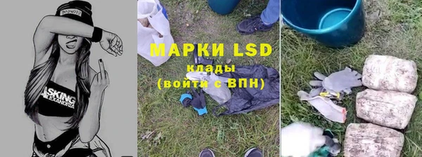 крисы Аркадак