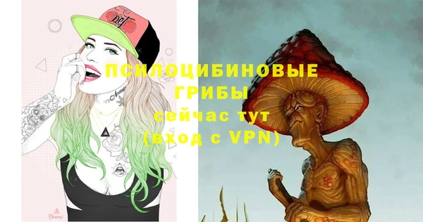 крисы Аркадак
